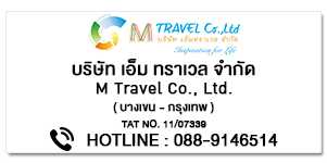 M TRAVEL