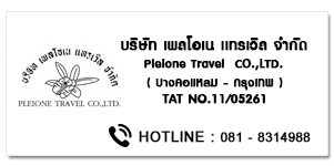 PLEIONE TRAVEL
