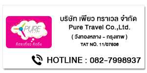 Pure travel