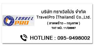 TravelPro