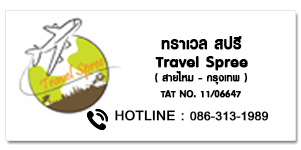 Travel spree